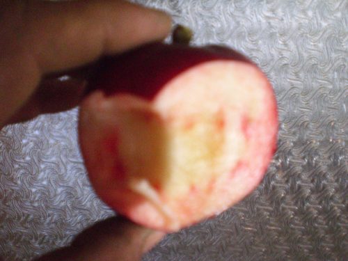 Beacon Apple - Image 3