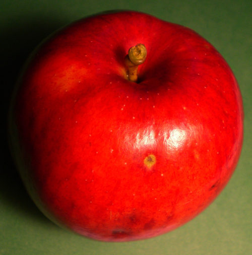 Beacon Apple