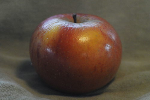 Cox's Orange Pippin Apple - Image 3