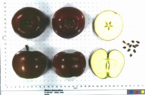 Co op 21 - Image 2