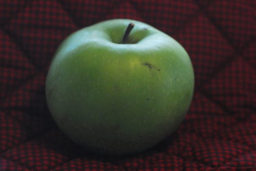 Northwest Greening Apple - Image 3