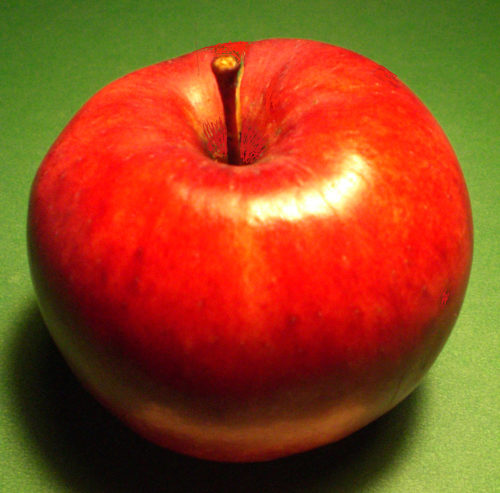 Hazen Apple - Image 2