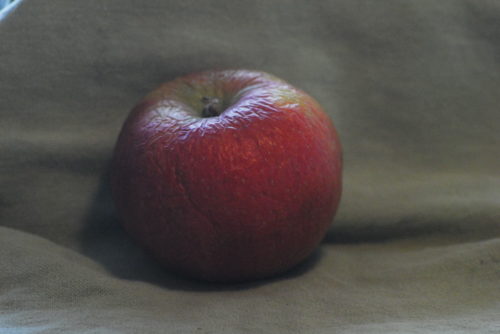 Jonamac Apple - Image 3
