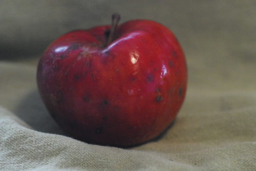 Keepsake Apple - Image 3