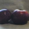 Kingston Black Apple
