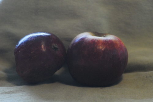 Kingston Black Apple