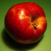 Lobo Apple - Image 3