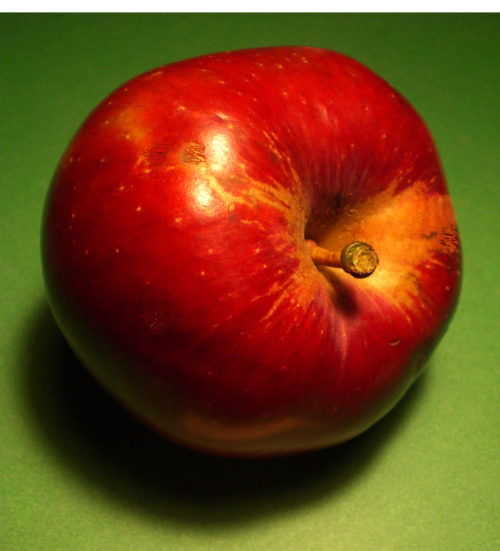 Lobo Apple - Image 3