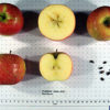 Red Baron Apple - Image 2