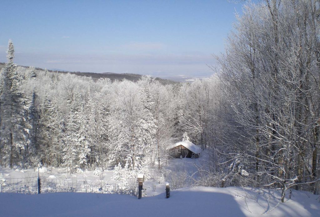 Walden Heights in the winter