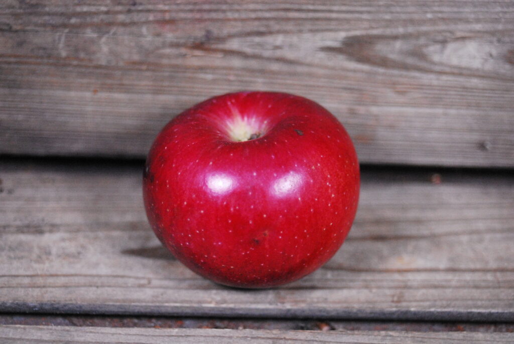 Davey Apple Walden Heights Nursery & Orchard