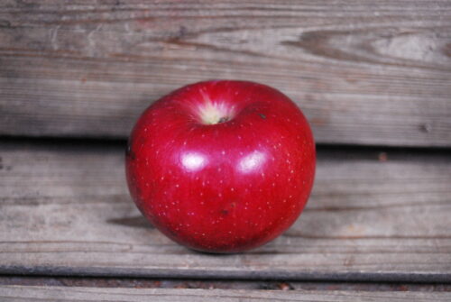 Davey Apple