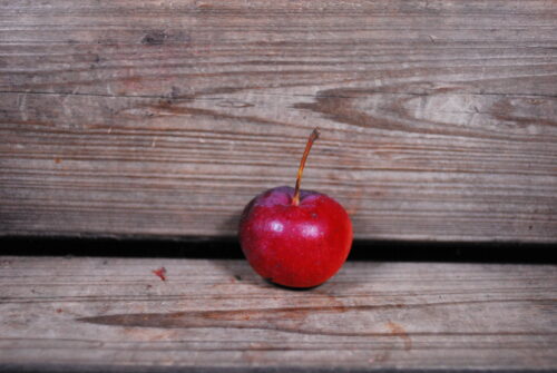 Amsib Apple