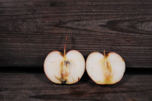 Hyslop Crab Apple - Image 2