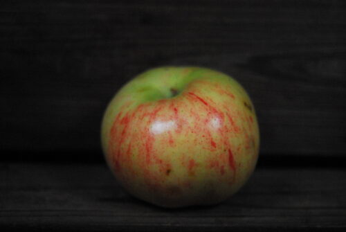 Newt Grindle Apple