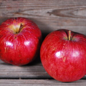 Red Wealthy Apple