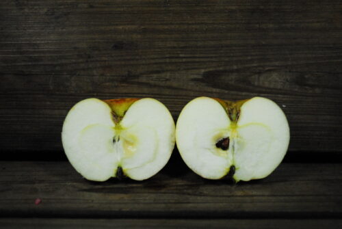Wodarz Apple - Image 2