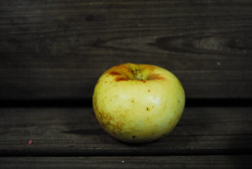 Wodarz Apple