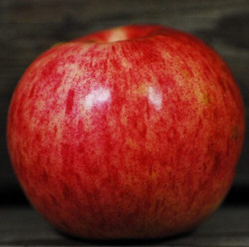 Anoka Apple