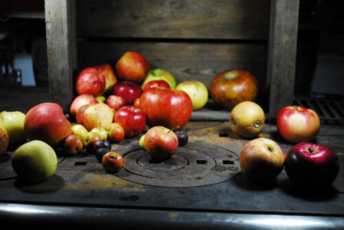 Apple seed (malus domestica) mixed