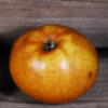 Ashmead's Kernel Apple