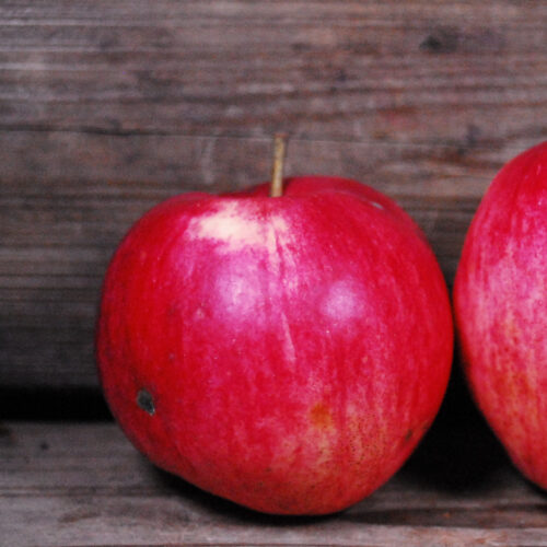 Akero Apple