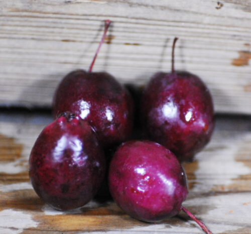 Cranberry Apple - Image 2