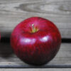 Hazen Apple
