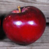 Lobo Apple