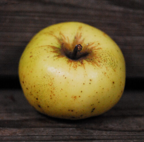 Michelin Apple