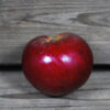Nova Easygro Apple