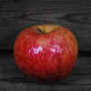 Red Baron Apple