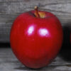 Spencer Apple
