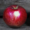 Wealthy Apple