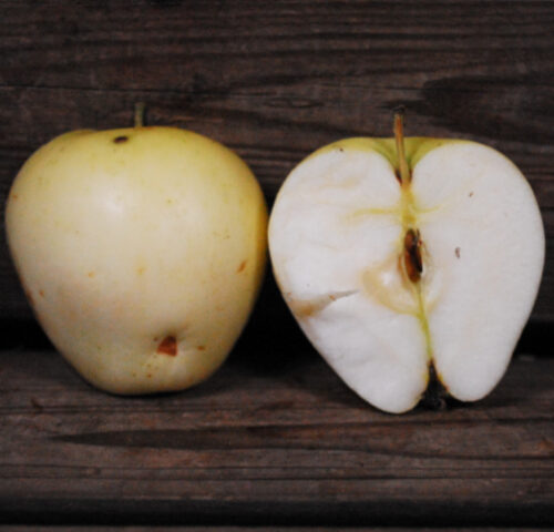 Yellow Transparent Apple